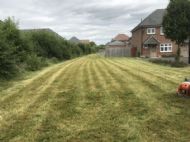 Click for all images